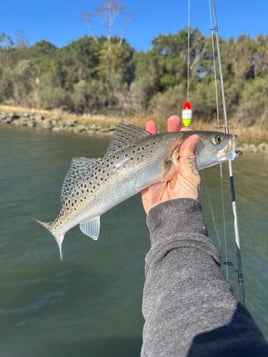 Inshore Fishing - 26' Twin Vee
