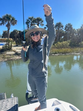 Inshore Fishing - 26' Twin Vee