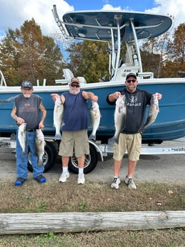 Striper Fishing Lake Murray SC