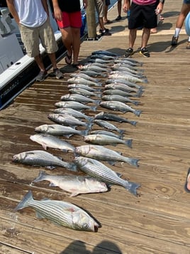 Striper Fishing Lake Murray SC