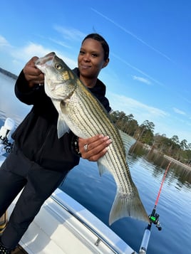 Striper Fishing Lake Murray SC