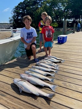 Striper Fishing Lake Murray SC