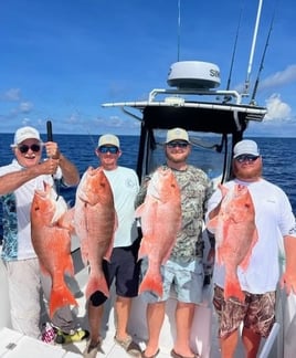 American Red Snapper