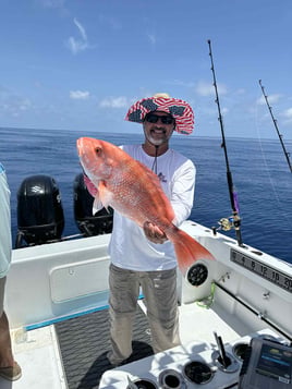 American Red Snapper