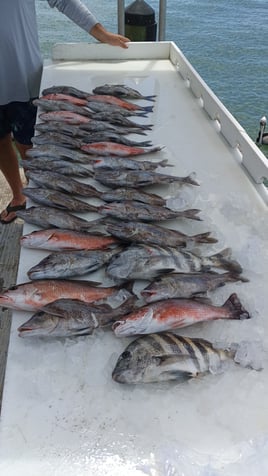 Nearshore Reef & Wreck Trips