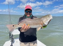 Half Day fishing trip in the Bay