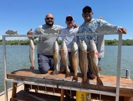 Half Day fishing trip in the Bay