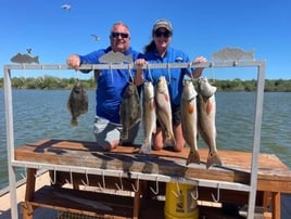 Half Day fishing trip in the Bay