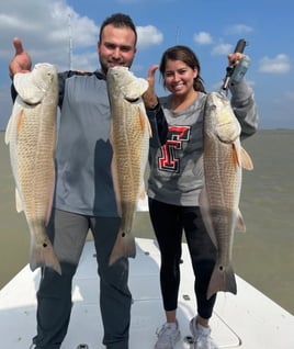 Half Day fishing trip in the Bay