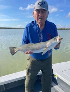 Half Day fishing trip in the Bay