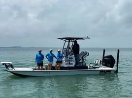 Half Day fishing trip in the Bay