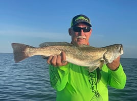 Half Day fishing trip in the Bay