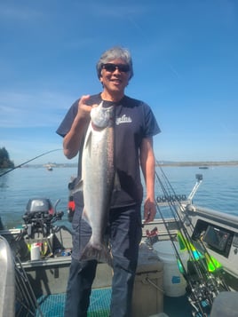 Lower Columbia Spring Chinook
