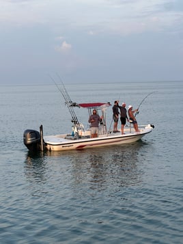 6-10 Hour Tarpon Trip