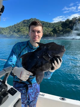Spearfishing Trip