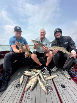 Walleye Jigging Trip 6-10 Hours