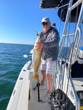 Let’s enjoy nature’s bounty 