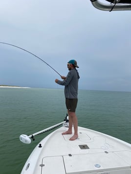 Let’s enjoy nature’s bounty 