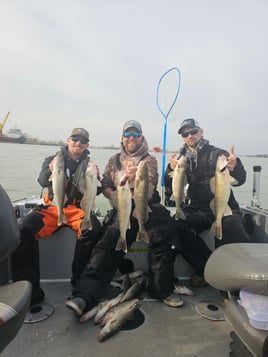 Walleye Trips