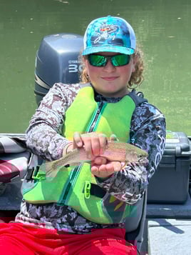 Arkansas Trout Guide