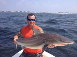 Sharks Baby! - 22’ Cape Horn