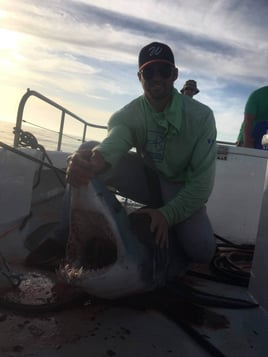 Sharks Baby! - 22’ Cape Horn