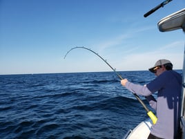 Gulf Fishing Fun - 22’ Cape Horn CC