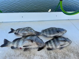 INSHORE/NEARSHORE FISHING