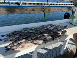 INSHORE/NEARSHORE FISHING