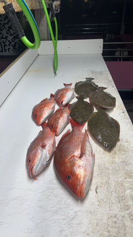 INSHORE/NEARSHORE FISHING