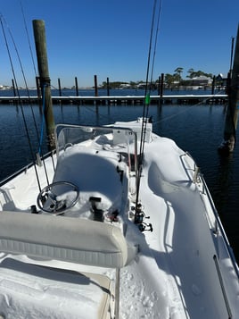 INSHORE/NEARSHORE FISHING