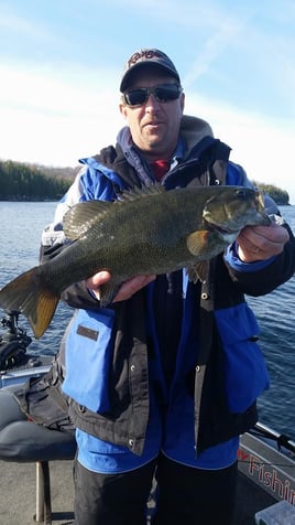 Full Day or Half Day Trip – Bass