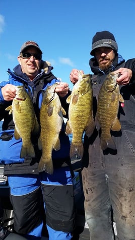 Full Day or Half Day Trip – Bass