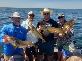 Full Day or Half Day Trip – Walleye