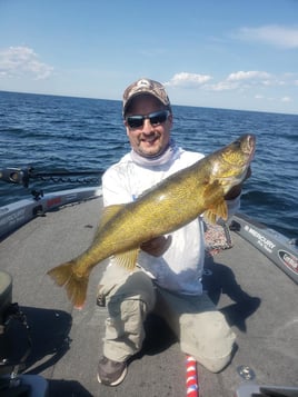 Full Day or Half Day Trip – Walleye