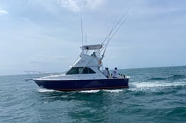 6-8 Hour Trip – Live Bait/Trolling