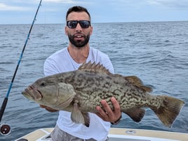 6-8 Hour Trip – Live Bait/Trolling