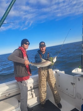 Half Day Trip – Nearshore
