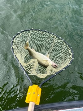 Green Bay Fishing Trip