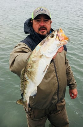 Wade fishing Galveston Bay