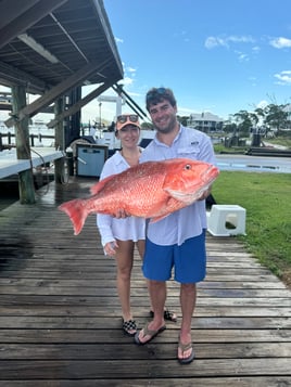 4 hour Inshore/nearshore 