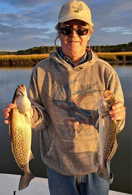 Half Day or Full Day Trip