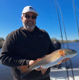 Half Day or Full Day Trip