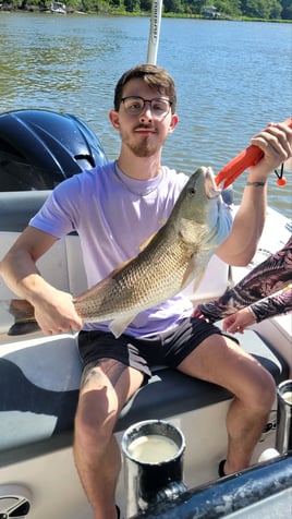 Half Day Trip – Backwater - 22 CS