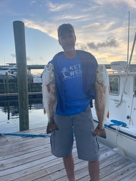 Half Day Trip – Backwater - 22 CS