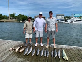 4 Hour Nearshore Trip