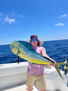 12 Hour Trip – Gulfstream