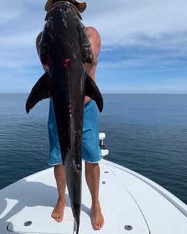 North Myrtle Beach Offshore