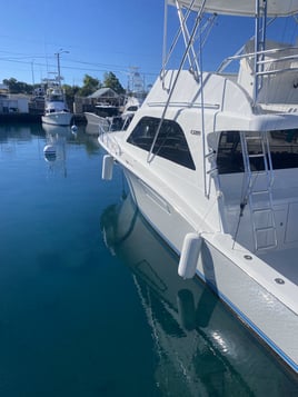 Reel Escapes A'u Nui 40' Cabo