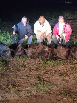 Hog Hunting